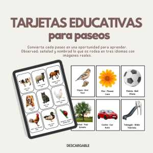 Tarjetas educativas trilingües (Montessori, descargables, editables) (copia)