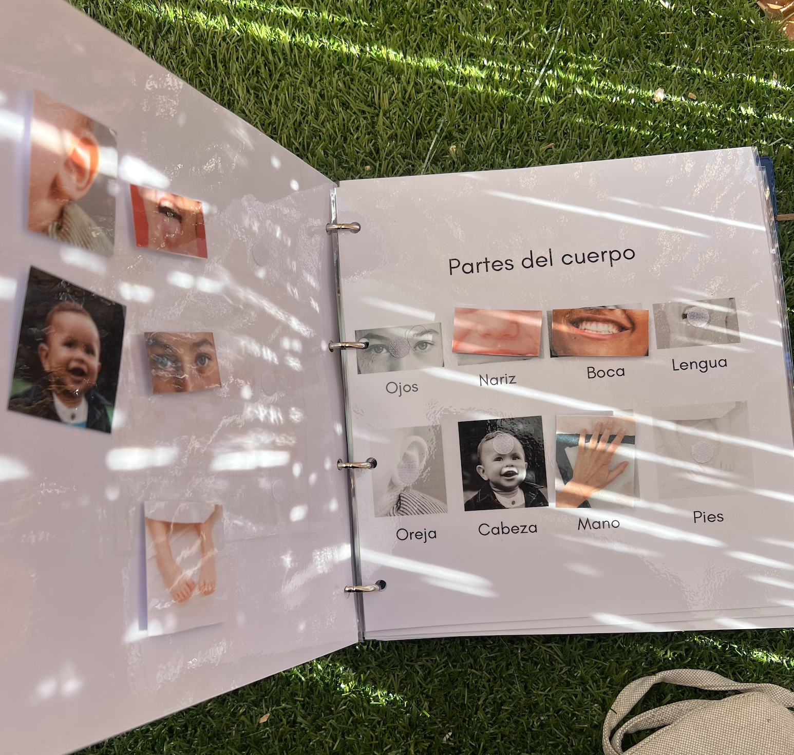 Mi cuaderno de aprendizaje (DESCARGABLE) - Imagen 7